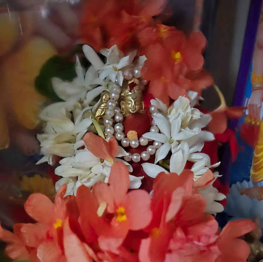 The beautiful lalitha devi I worship everyday